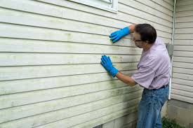 Best Siding Repair  in Richwood, NJ